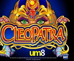 um8 Curitiba - Live Status